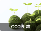 CO2팸